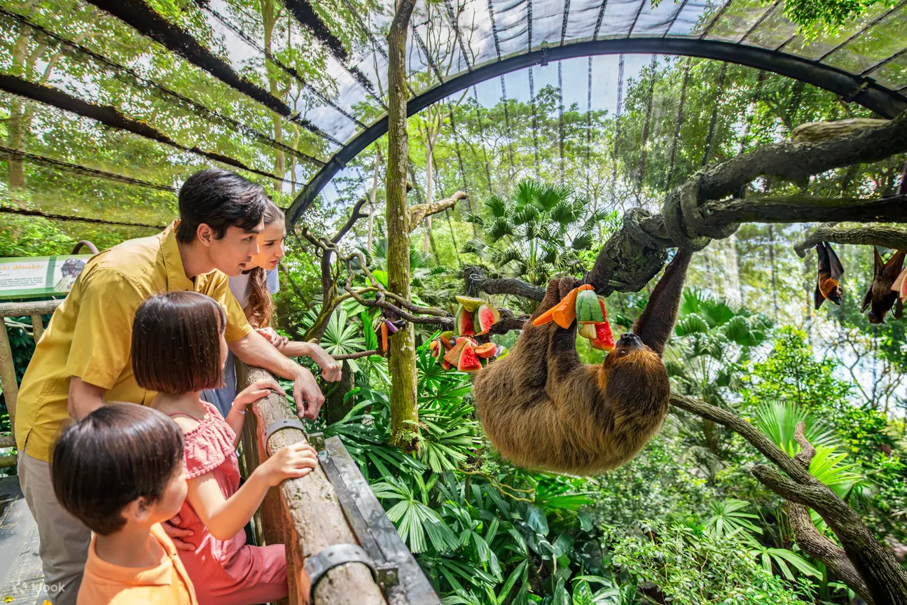 a family with kids interacting with the animal